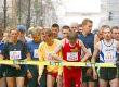 How I Ran My First Marathon: A Case Study